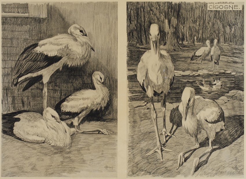 Cigogne, Gravure - Mathurin Méheut (1882-1958)-photo-2