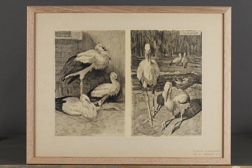 Cigogne, Gravure - Mathurin Méheut (1882-1958)