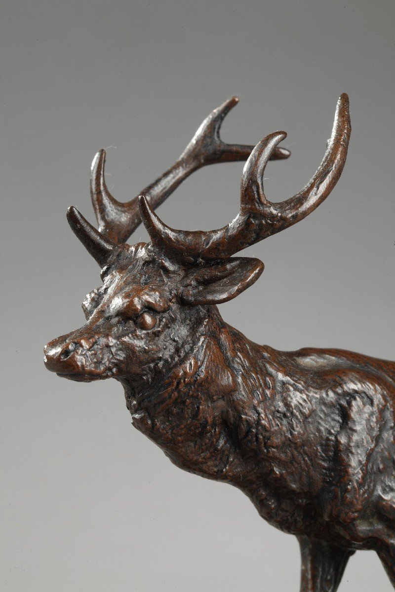 Cerf qui marche n°2 - Antoine-Louis Barye (1796-1875)-photo-3