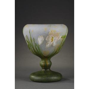 Narcissus Cup - Daum