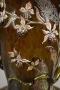 1580267-alb-686bc7af97bc1.jpg