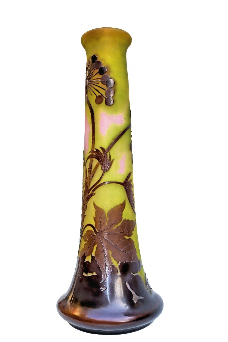 émile Gallé (1846 - 1904) Large Ombelles Vase 55 Cm-photo-2