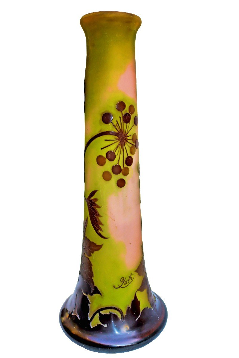 émile Gallé (1846 - 1904) Large Ombelles Vase 55 Cm-photo-3