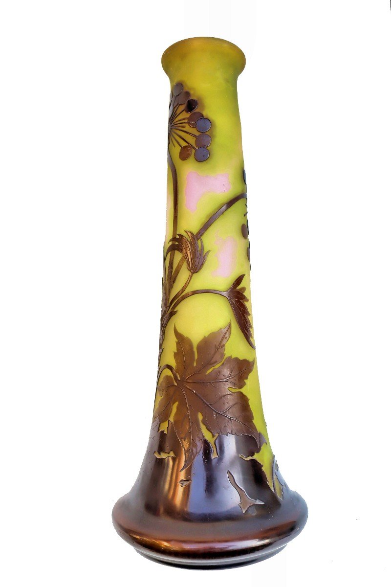 émile Gallé (1846 - 1904) Large Ombelles Vase 55 Cm-photo-7