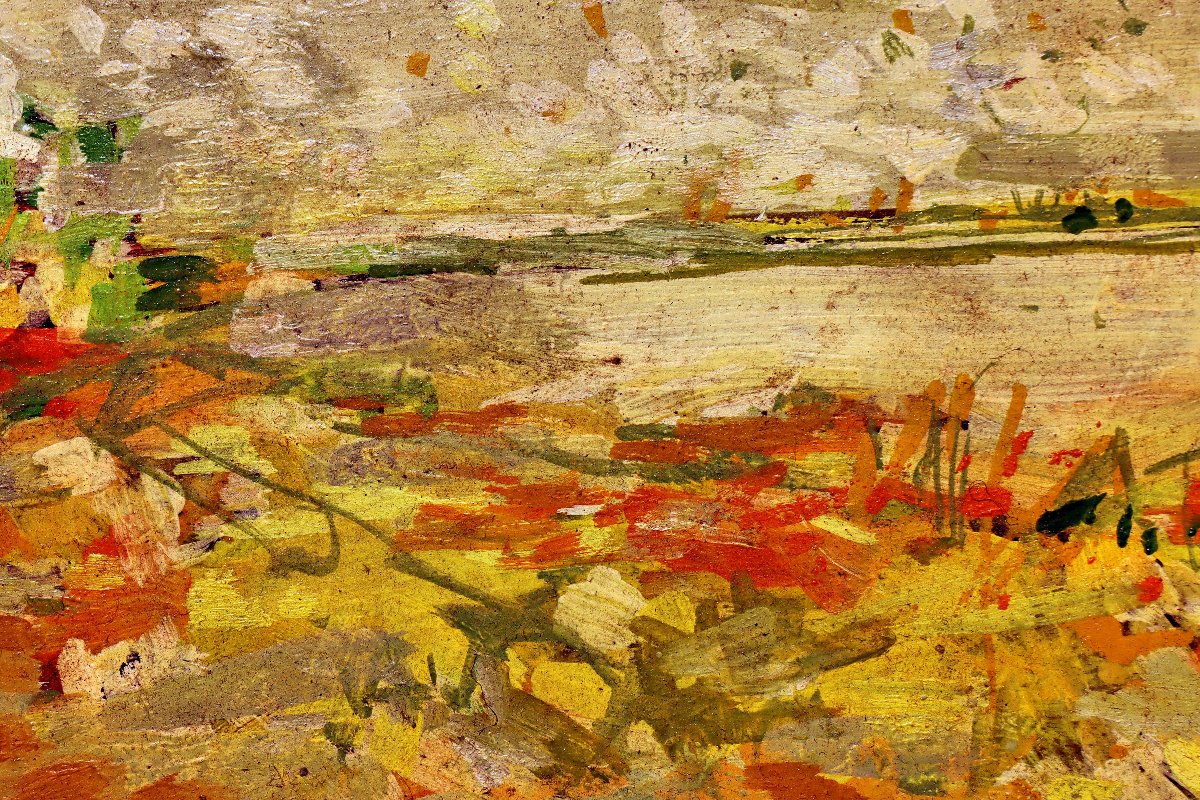 Jean Commère (1920-1986) Marshes In Sologne-photo-1