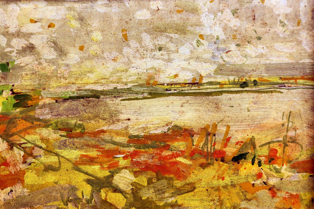 Jean Commère (1920-1986) Marshes In Sologne-photo-3