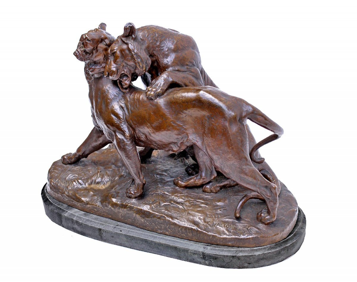 Charles Valton (1851-1918) Important Animal Bronze "prélude A l'Amour" (40 Kg)-photo-3