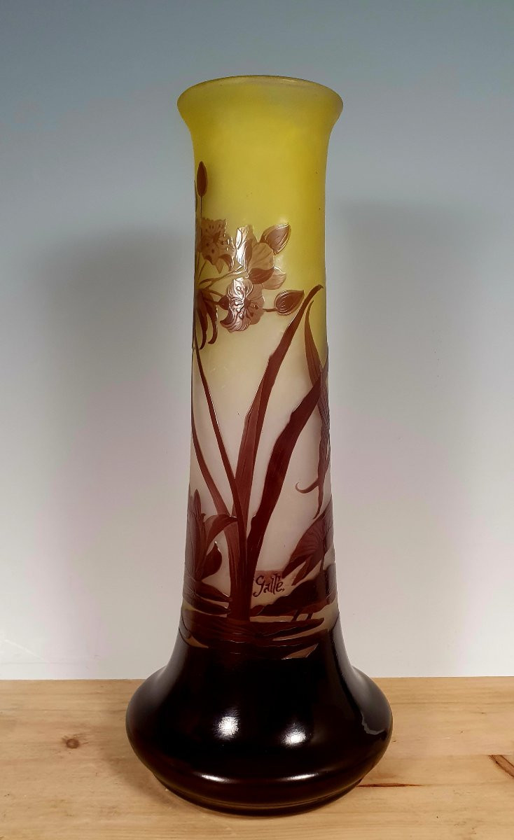 Gallé vase-photo-2