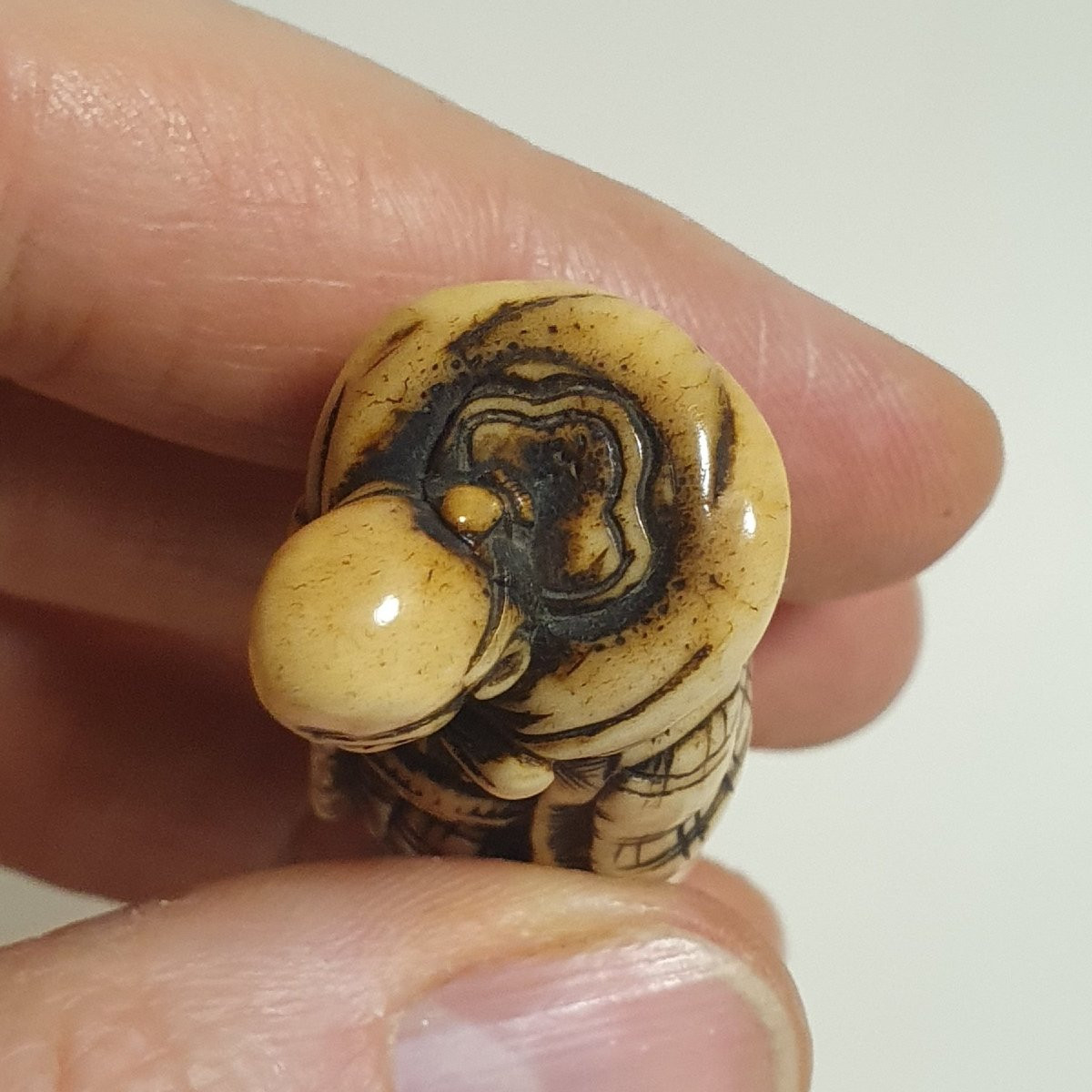 Deer Horn Netsuke -photo-5
