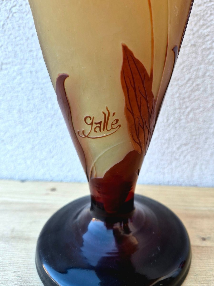 Gallé vase-photo-1
