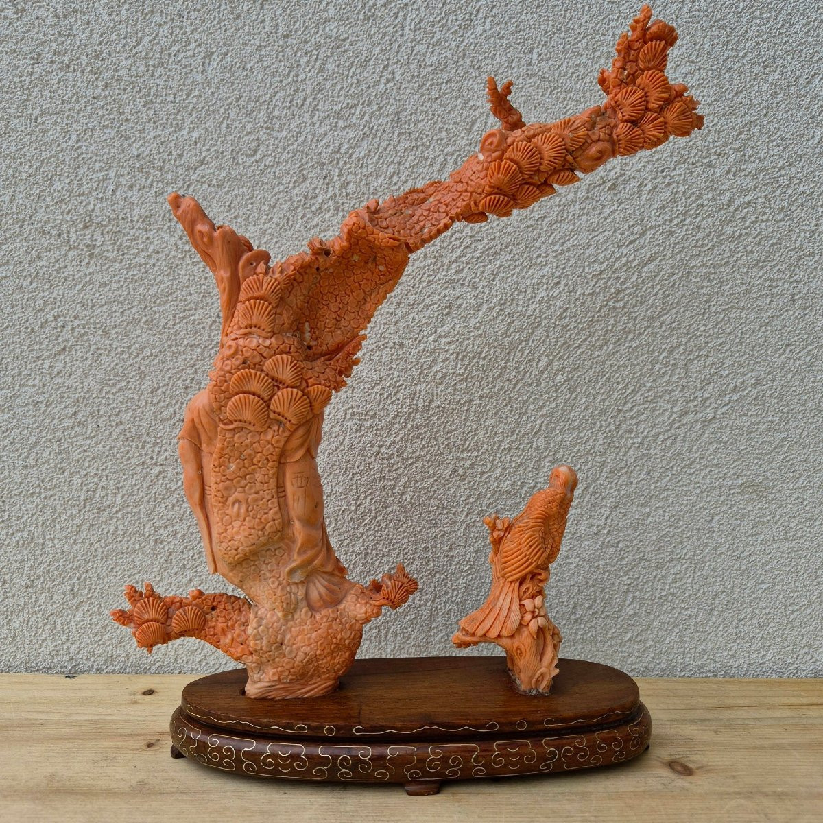 sculpture en corail-photo-2