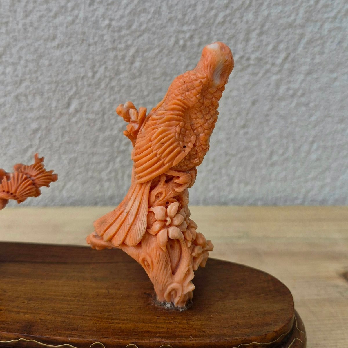sculpture en corail-photo-3