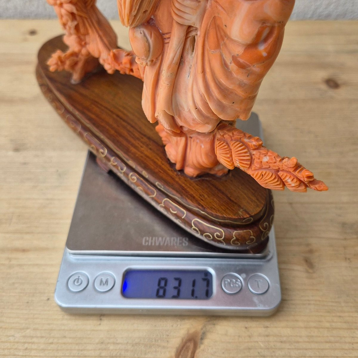 sculpture en corail-photo-5