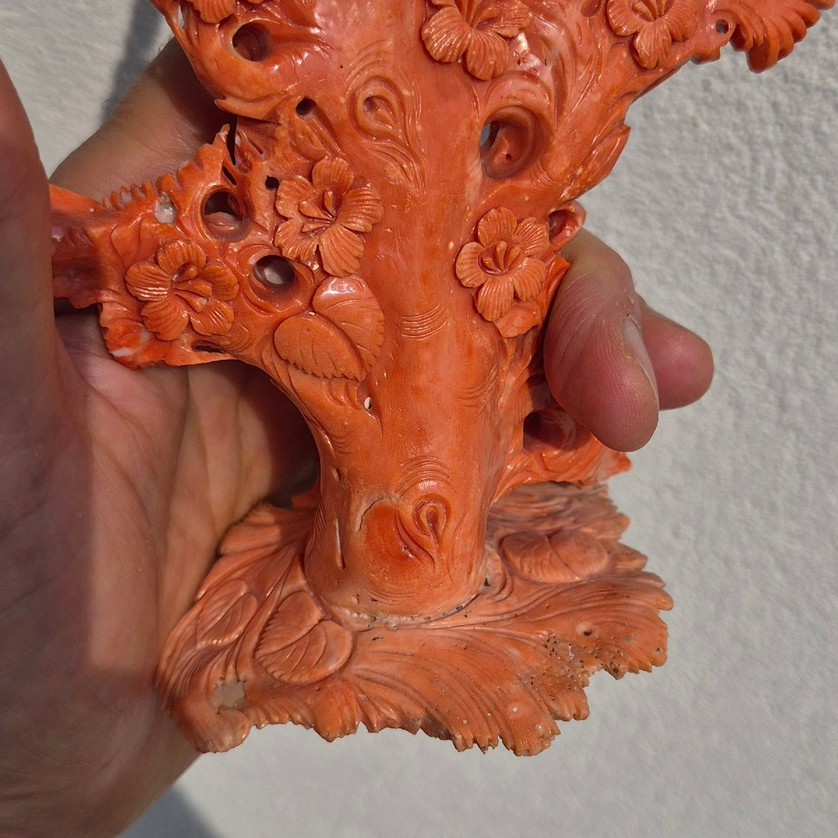 Coral Sculpture-photo-2