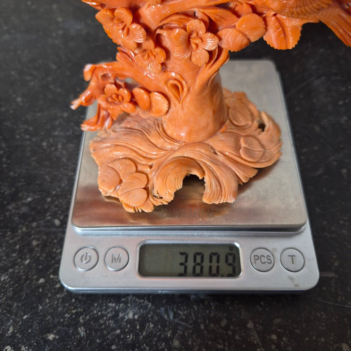 Coral Sculpture-photo-3