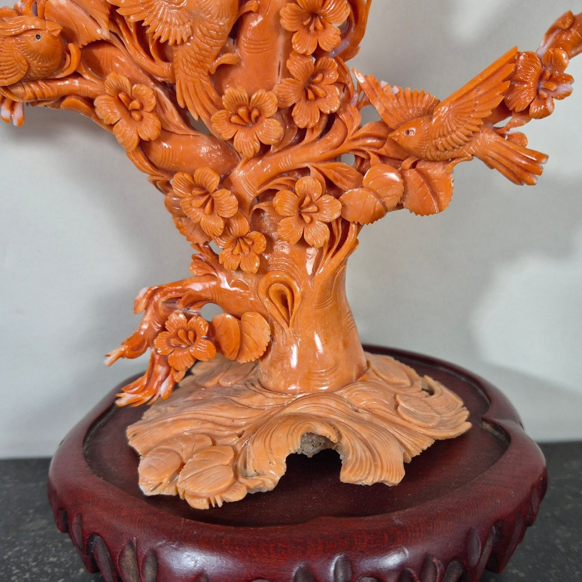 Coral Sculpture-photo-4