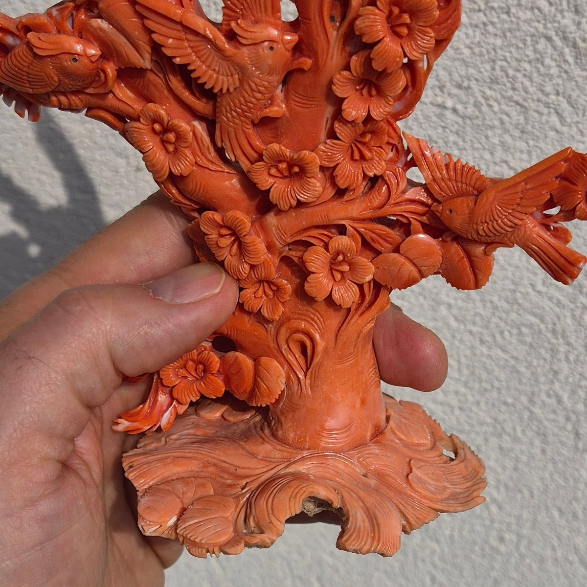 Coral Sculpture-photo-5