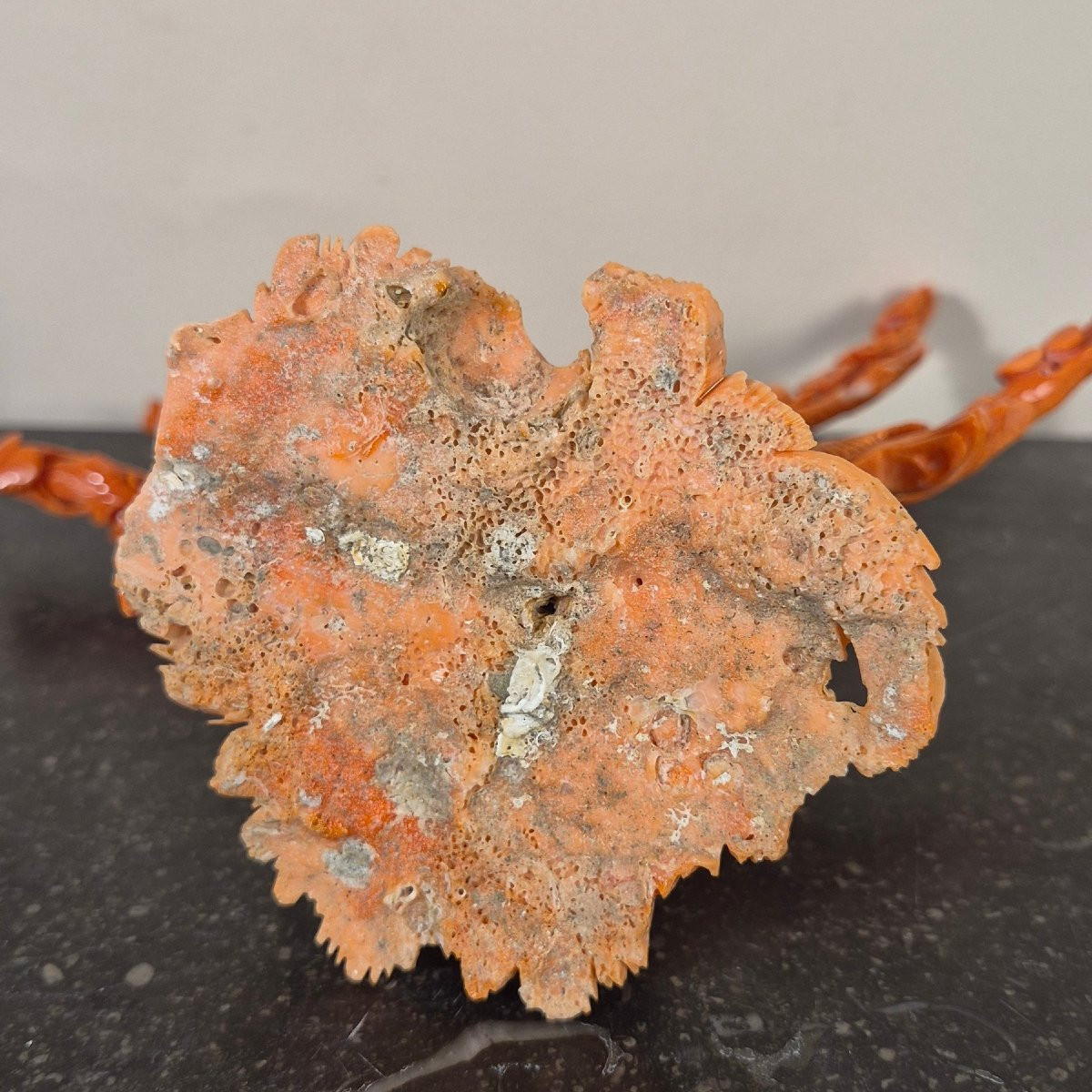 Coral Sculpture-photo-6