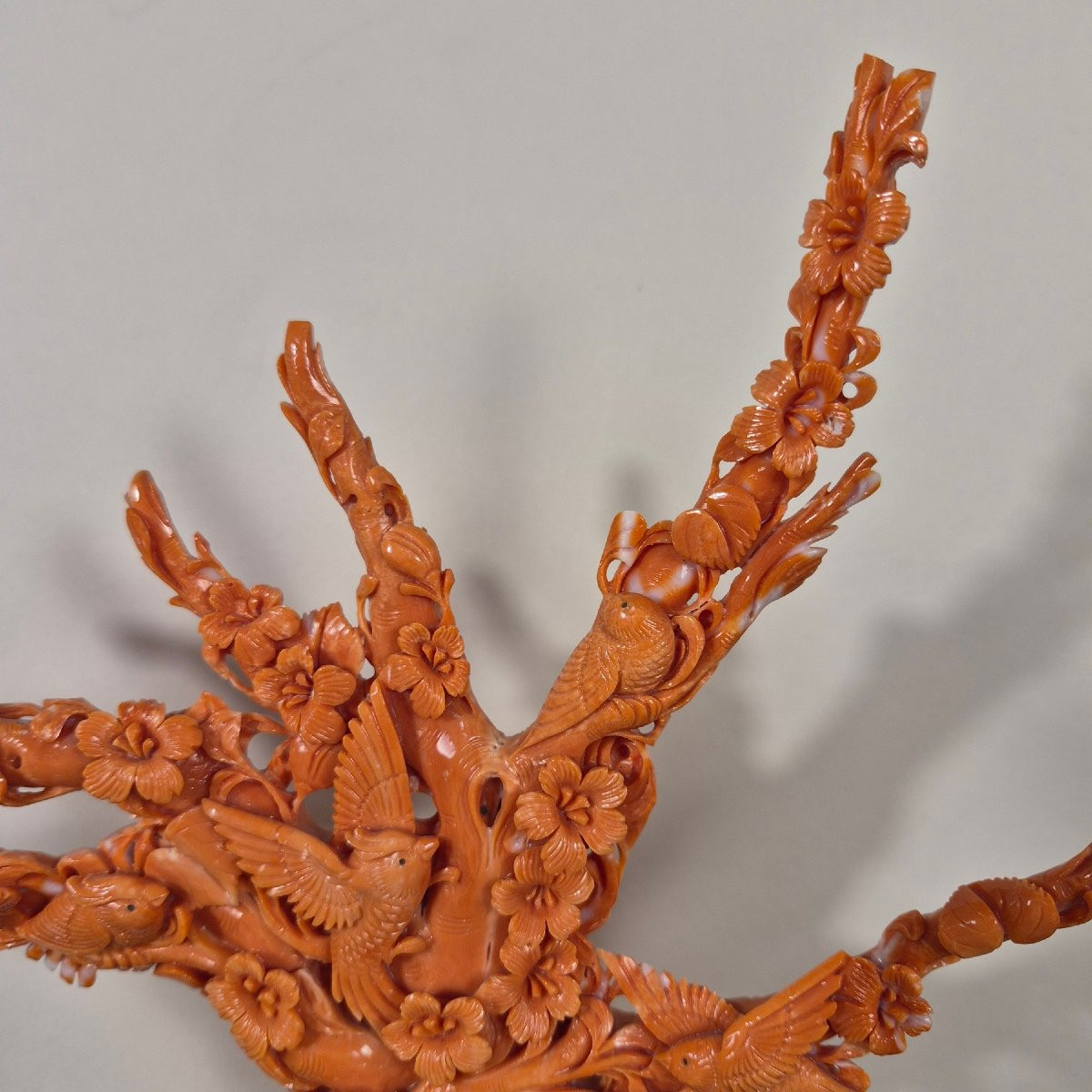 Coral Sculpture-photo-7