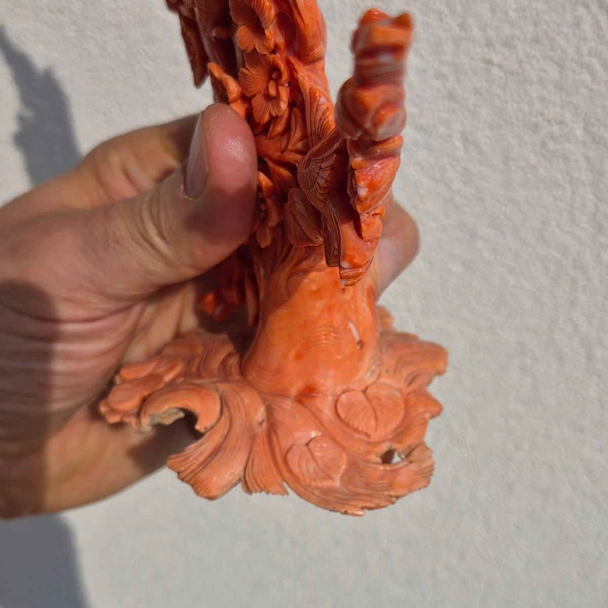 Coral Sculpture-photo-8