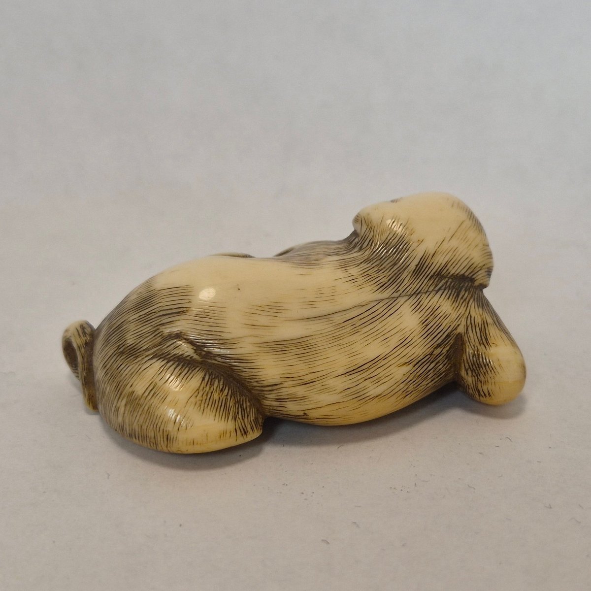 Netsuke  En Ivoire -photo-2