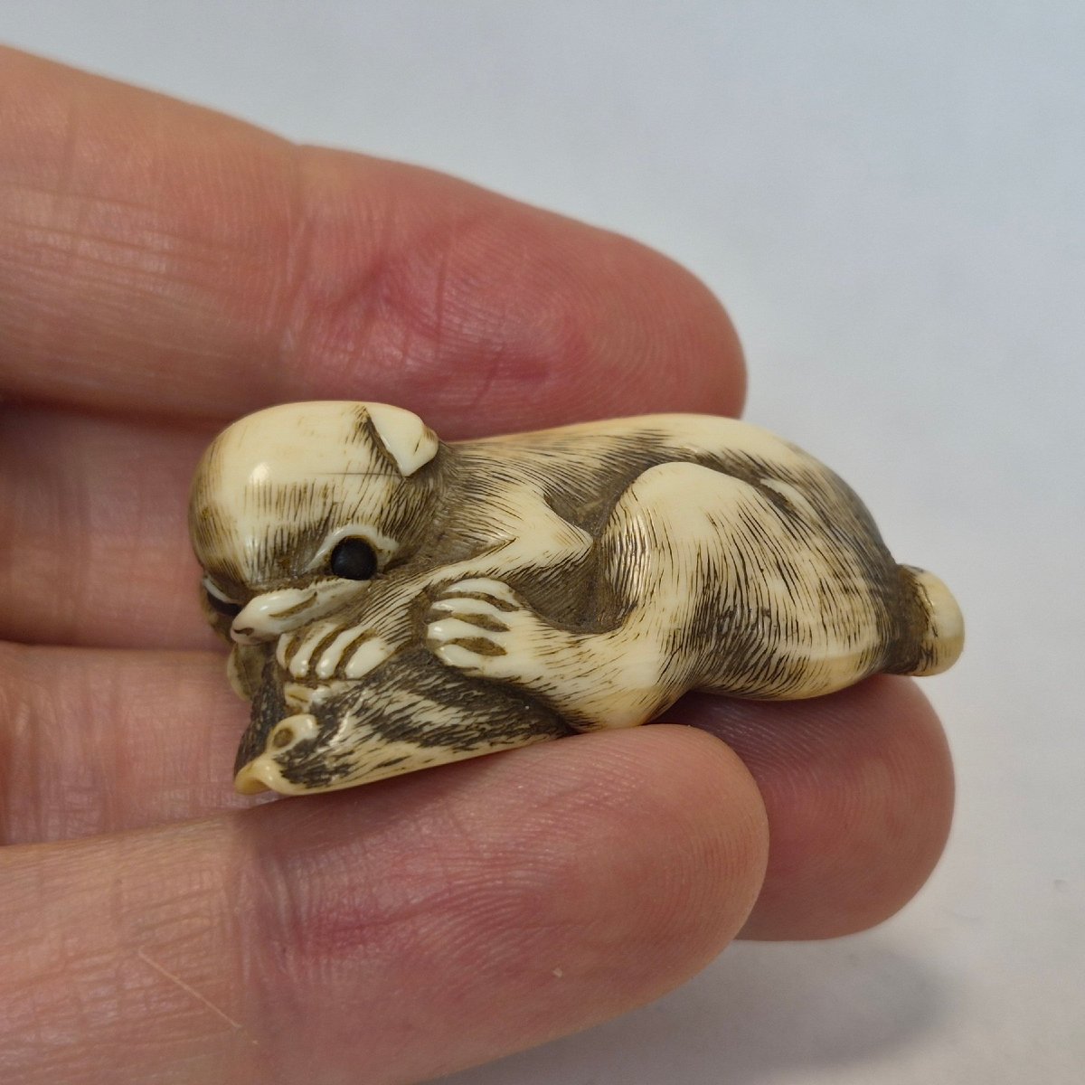Netsuke  En Ivoire -photo-3