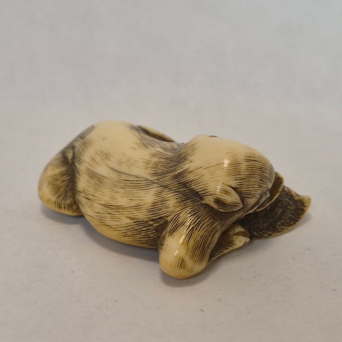 Netsuke  En Ivoire -photo-4