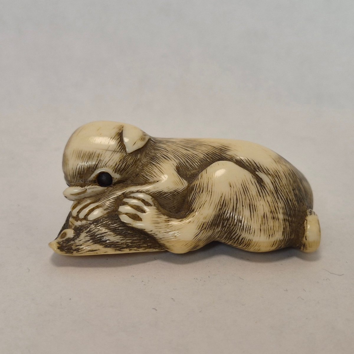 Netsuke  En Ivoire -photo-2