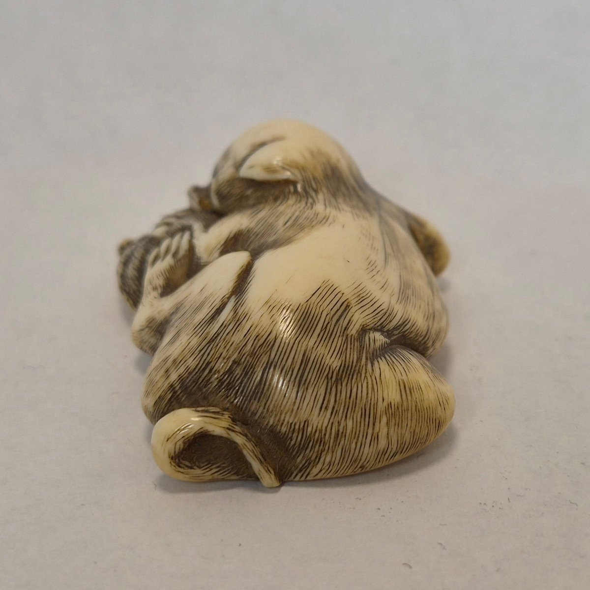 Netsuke  En Ivoire -photo-3