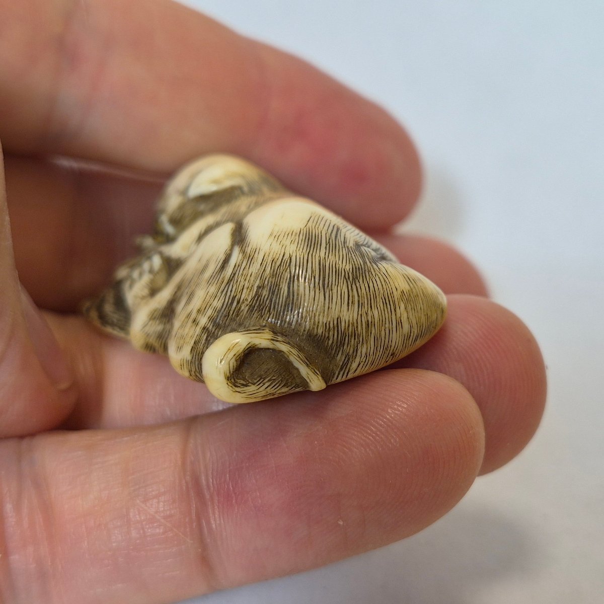 Netsuke  En Ivoire -photo-4