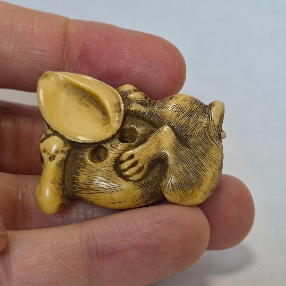 Netsuke  En Ivoire -photo-6