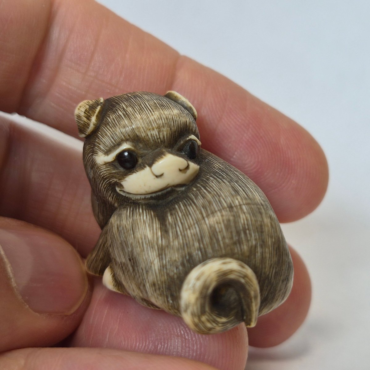 Netsuke  En Ivoire -photo-3