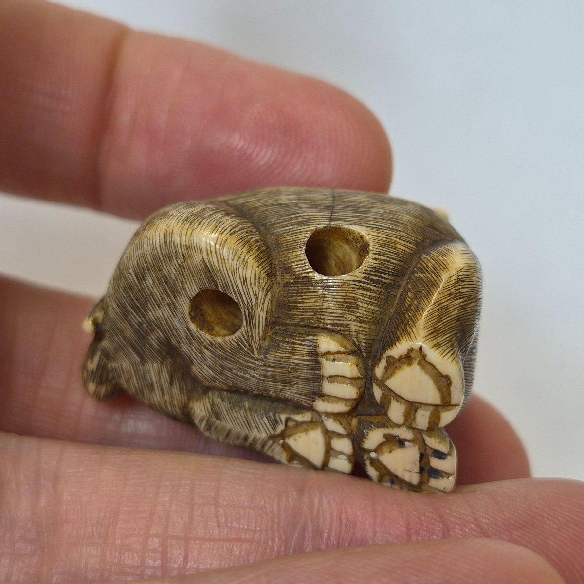 Netsuke  En Ivoire -photo-3