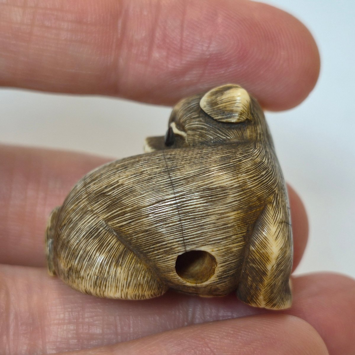 Netsuke  En Ivoire -photo-6