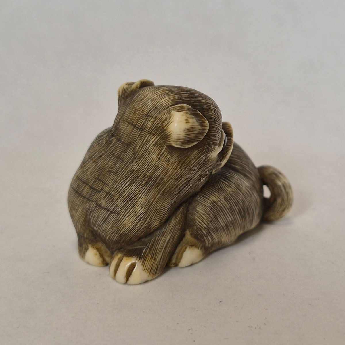 Netsuke  En Ivoire -photo-7