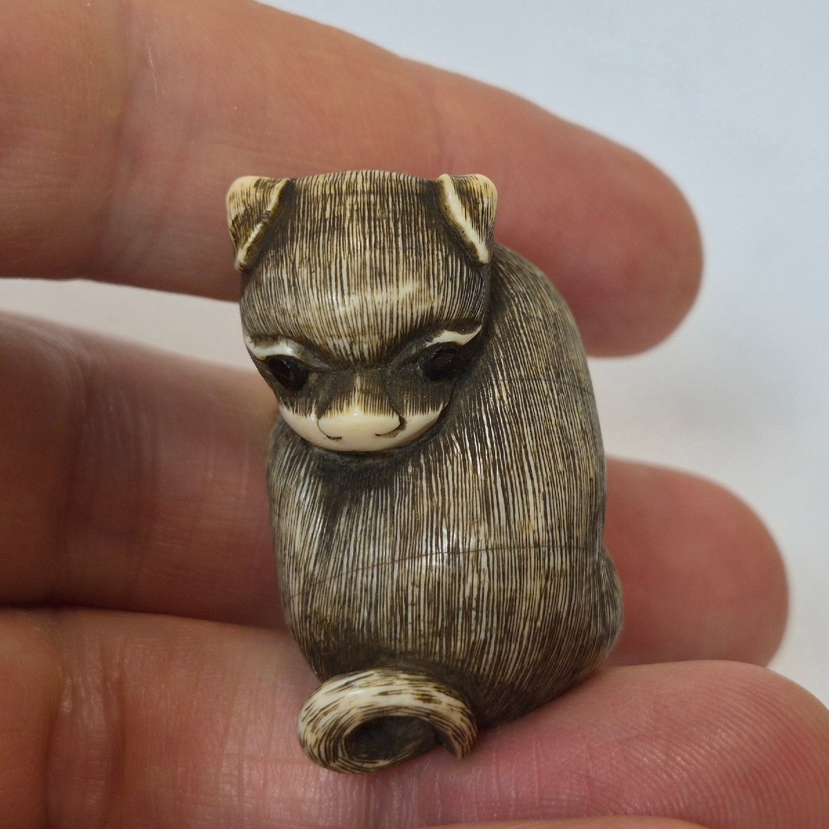 netsuke chien-photo-2