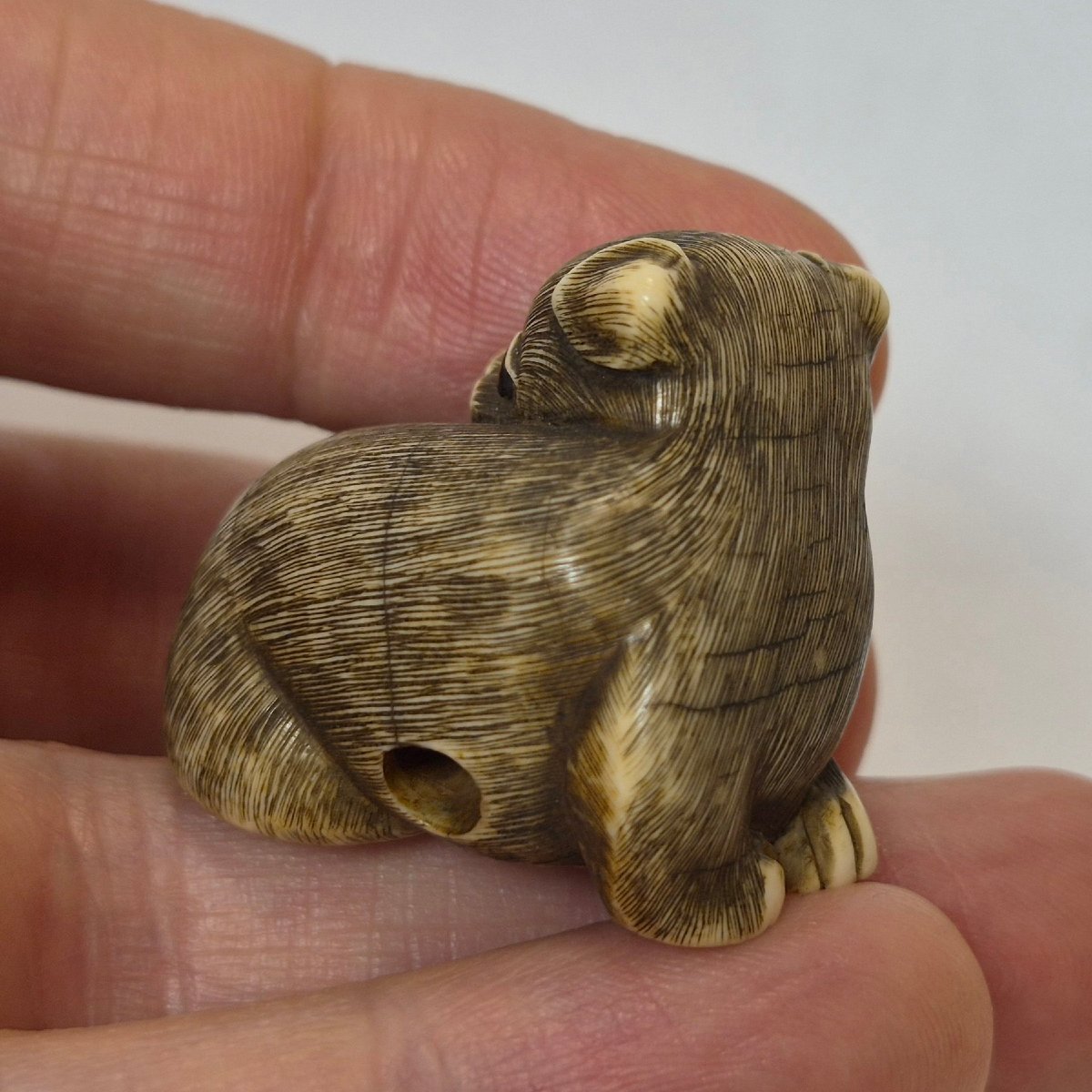 netsuke chien-photo-2