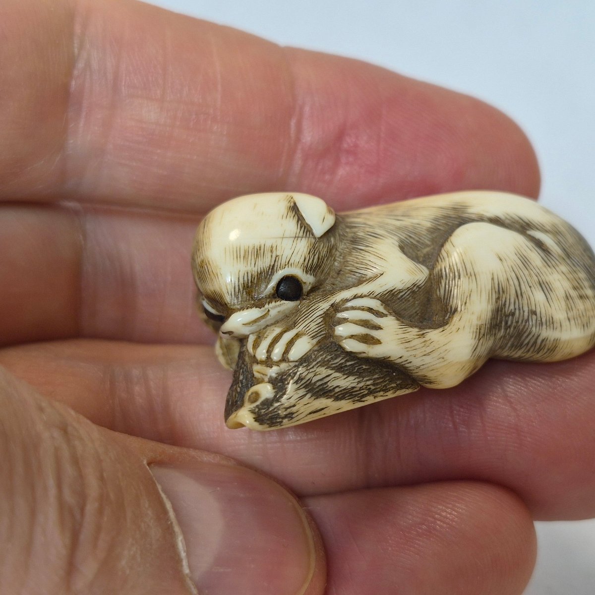 Ivory Netsuke-photo-4