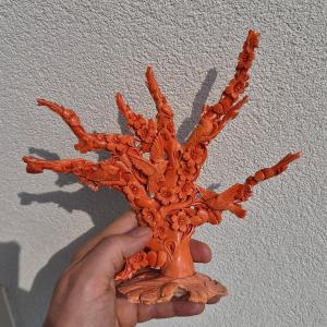 sculpture en corail
