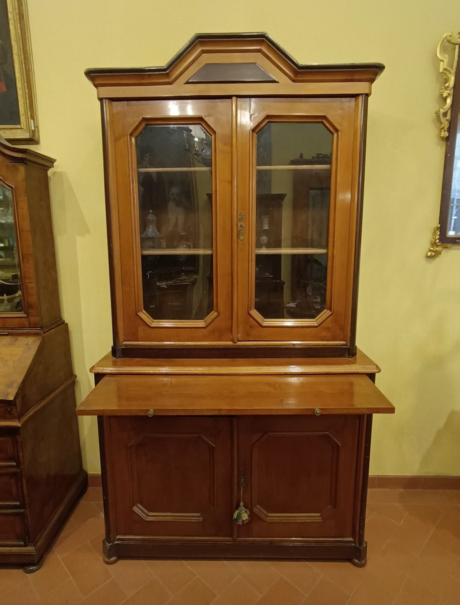 Second Half Of The 19th Century Louis Philippe "bookcase" Display Case-photo-1