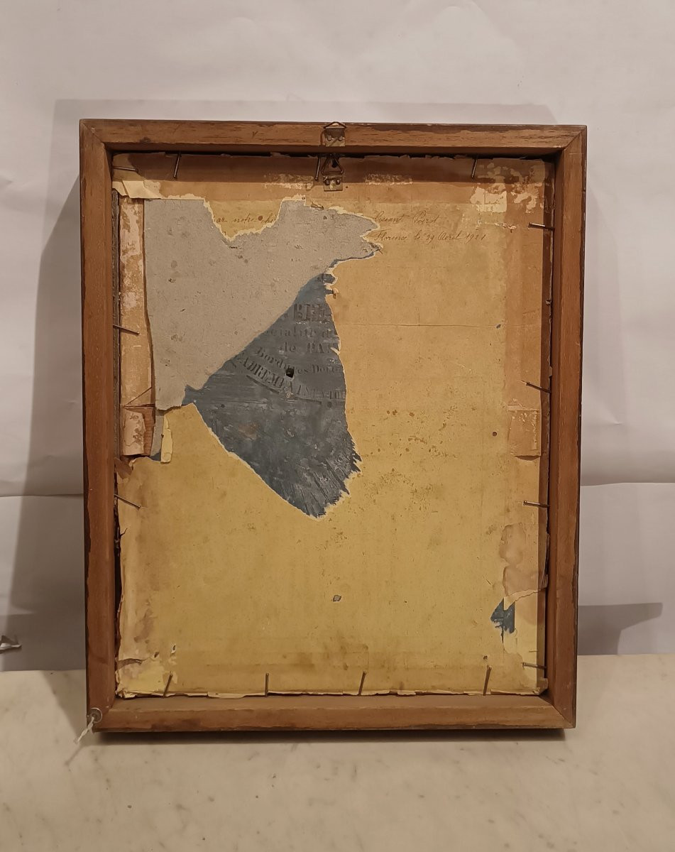 PORTRAIT D'UN GARÇON AVEC UN CHAT DÉBUT DU 20ème SIÈCLE-photo-4