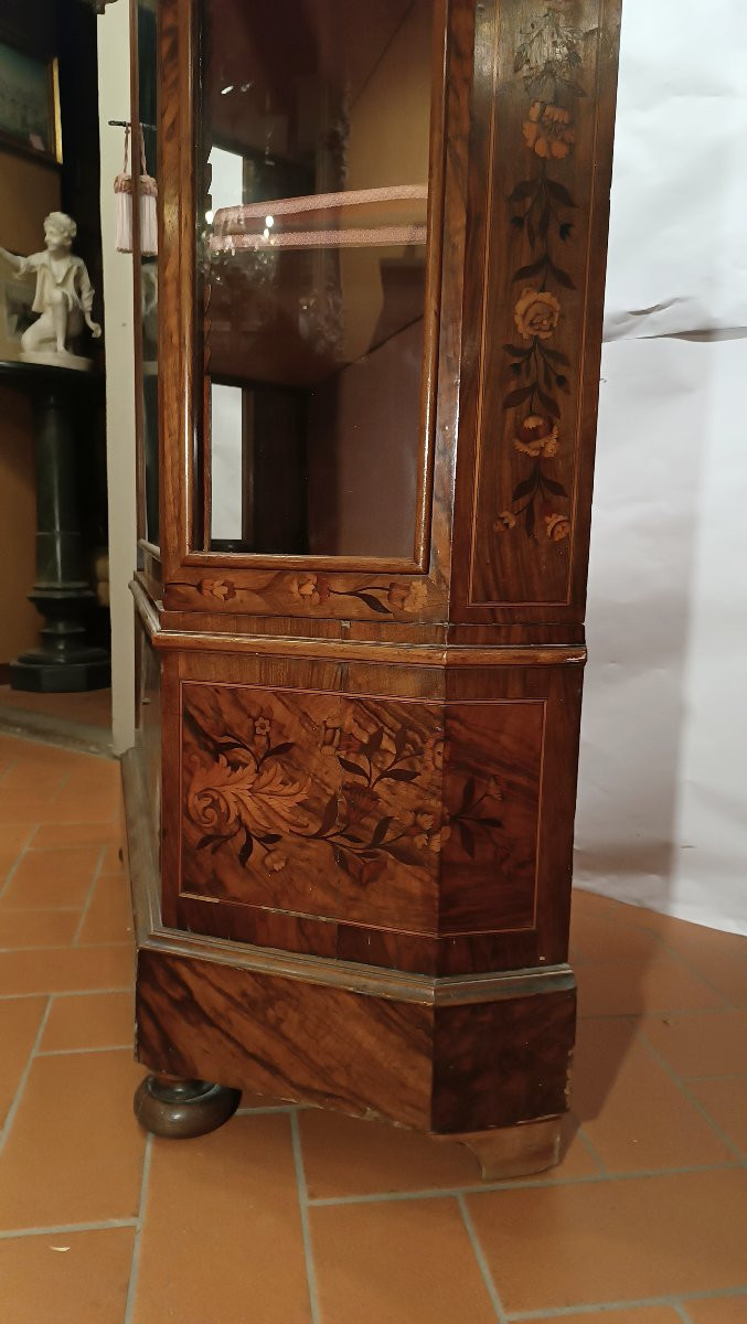 Mid-19th Century Inlaid Walnut Display Cabine-photo-7