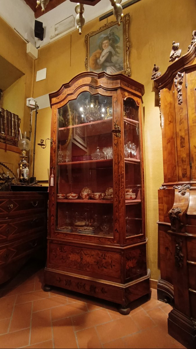 Mid-19th Century Inlaid Walnut Display Cabine-photo-8