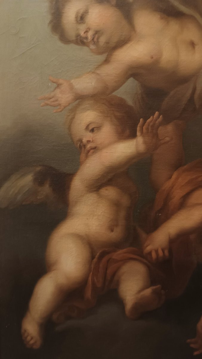 TABLEAU REPRÉSENTANT DES CUPINS VOLANTS DÉBUT DU 18ème SIÈCLE -photo-4