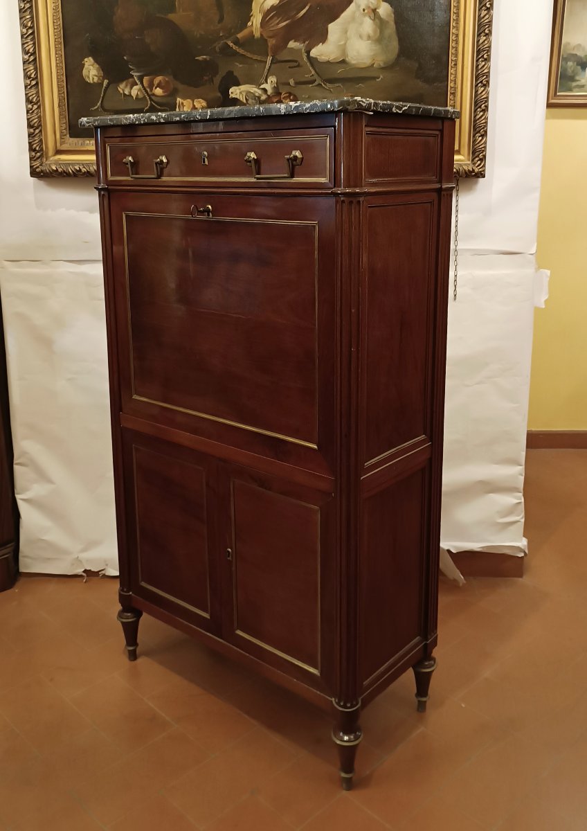 Mid-19th Century Napoleon III Mahogany Secretary-photo-3