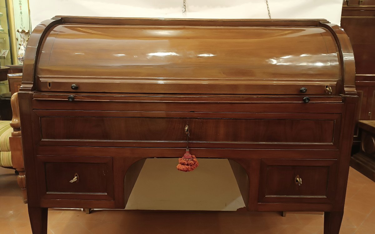 COMMODE À ABATTANT NAPOLÉON III MILIEU DU 19ème SIÈCLE-photo-2