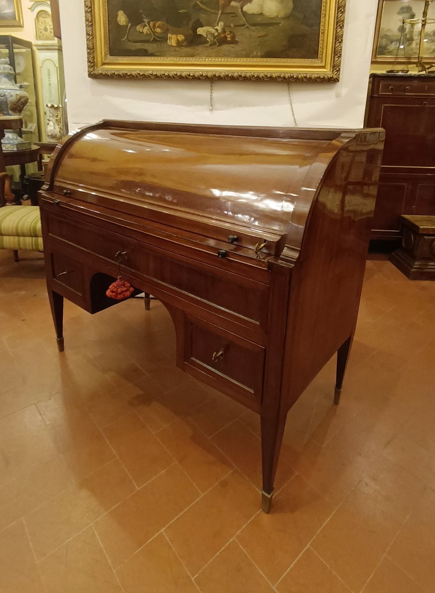 COMMODE À ABATTANT NAPOLÉON III MILIEU DU 19ème SIÈCLE-photo-1