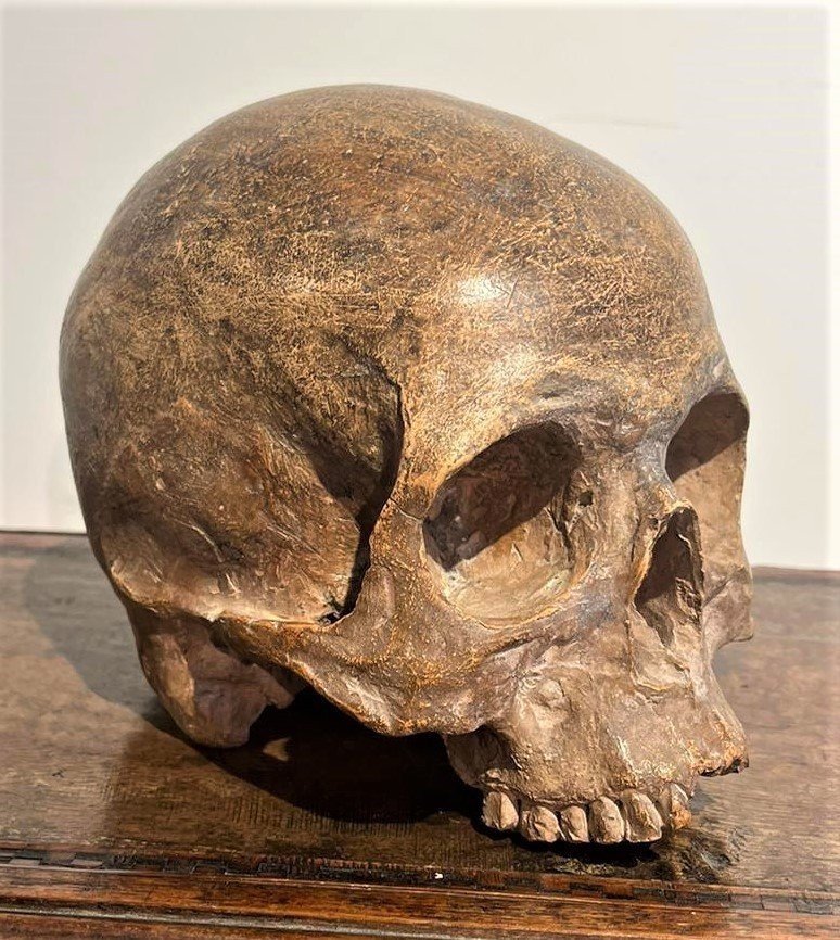 Crâne En Terre Cuite - Vanitas Ou Momento Mori Du XVIe Siècle.-photo-4