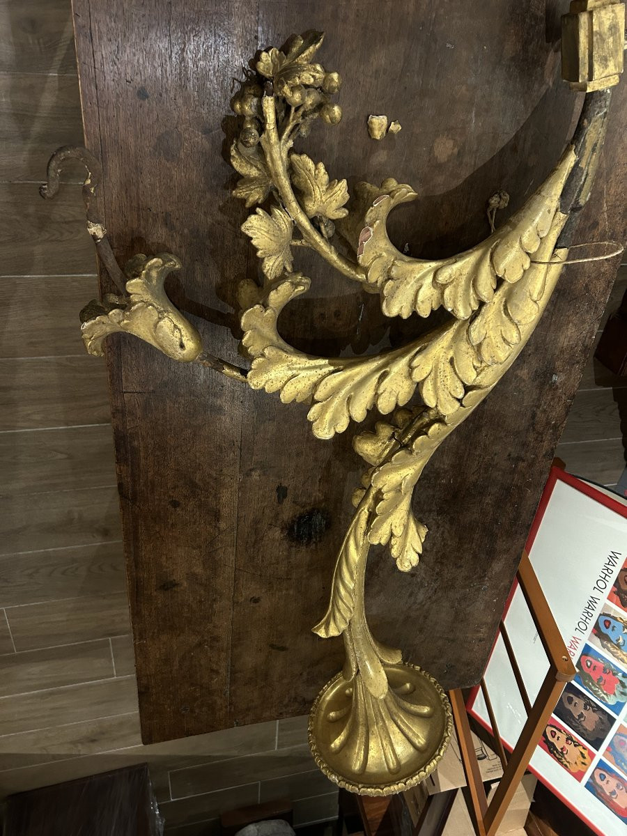 Important Gilded And Richly Carved Palace Torch Holders, Central Italy, 17th C. (70cm X 140cmh)-photo-5