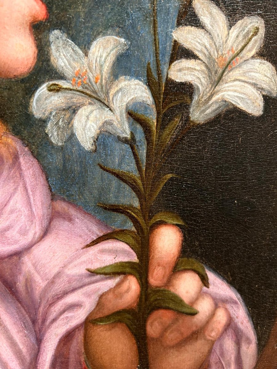 Oil On Panel, Study Of The Annunciating Angel, Florence, Early 16th Century-photo-4